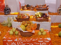 IMG (3)